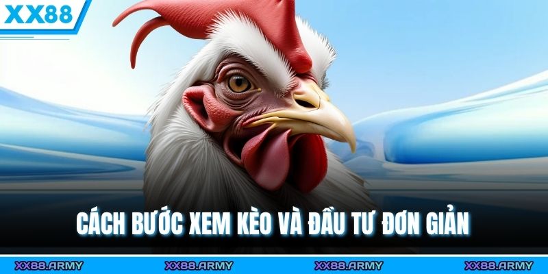 Hướng Dẫn Xem Kèo Đá Gà Cựa Sắt Từ Cơ Bản Đến Nâng Cao 3 Cách bước xem kèo và đầu tư đơn giản