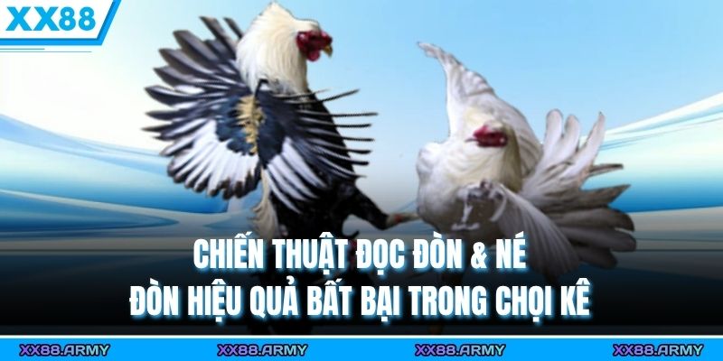 Chiến Thuật Đọc Đòn & Né Đòn Hiệu Quả Bất Bại Trong Chọi Kê 2 Chiến Thuật Đọc Đòn & Né Đòn Hiệu Quả Bất Bại Trong Chọi Kê