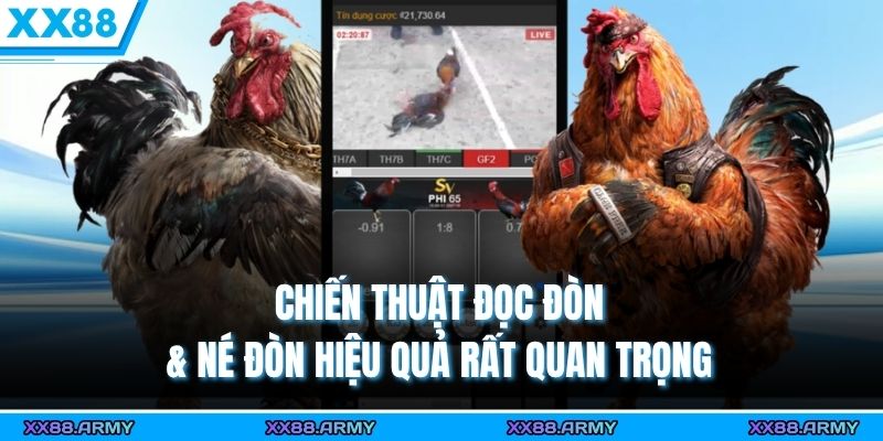 Chiến thuật đọc đòn & né đòn hiệu quả rất quan trọng 