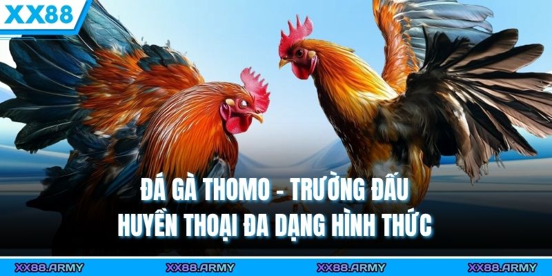 Đá Gà Thomo - Trường Đấu Huyền Thoại Đa Dạng Hình Thức
