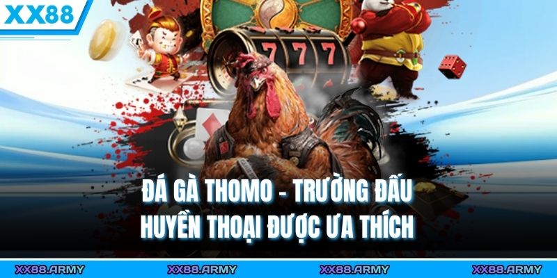 Đá Gà Thomo - Trường Đấu Huyền Thoại Đa Dạng Hình Thức 1 Đá gà Thomo - Trường đấu huyền thoại được ưa thích