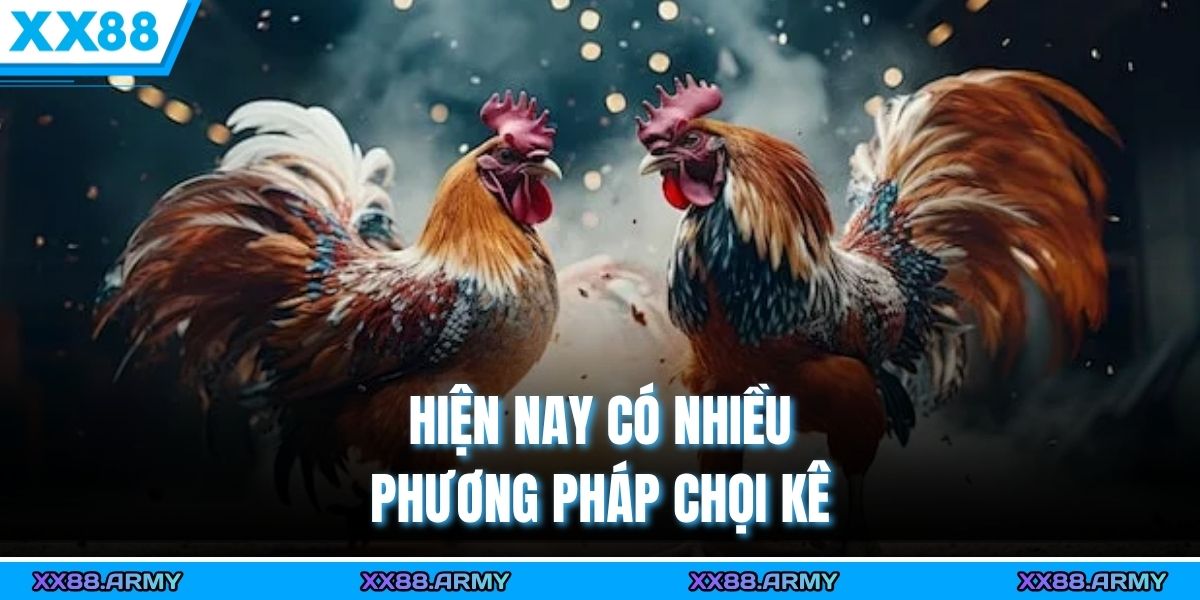 Chiến Thuật Đọc Đòn & Né Đòn Hiệu Quả Bất Bại Trong Chọi Kê 2 Hiện nay có nhiều phương pháp chọi kê