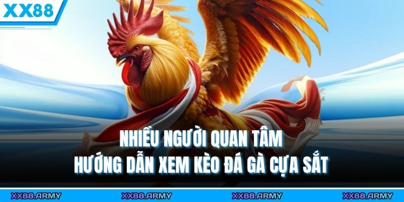 Hướng Dẫn Xem Kèo Đá Gà Cựa Sắt Từ Cơ Bản Đến Nâng Cao 4 Hướng Dẫn Xem Kèo Đá Gà Cựa Sắt Từ Cơ Bản Đến Nâng Cao