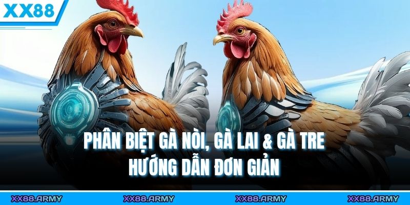Phân Biệt Gà Nòi, Gà Lai & Gà Tre - Hướng Dẫn Đơn Giản 5 phan biet ga noi ga lai ga tre huong dan don gian