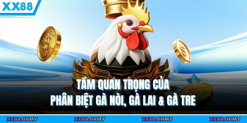 Phân Biệt Gà Nòi, Gà Lai & Gà Tre - Hướng Dẫn Đơn Giản 1 Tầm quan trọng của phân biệt gà nòi, gà lai & gà tre
