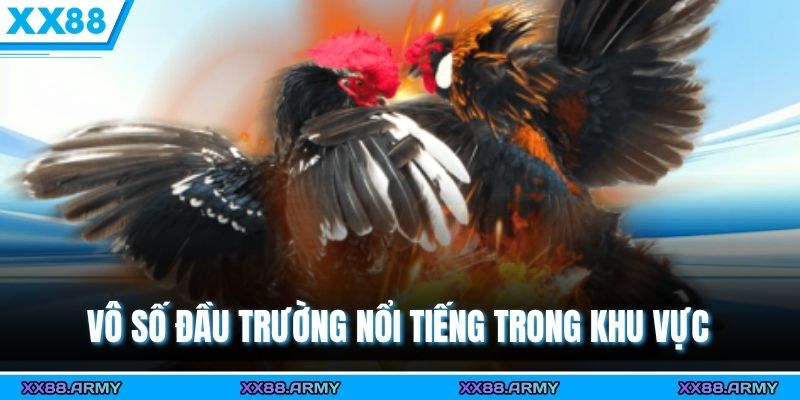 Các Trường Gà Nổi Tiếng Châu Á - Thế Giới Tinh Hoa Hội Tụ 2 Vô số đầu trường nổi tiếng trong khu vực
