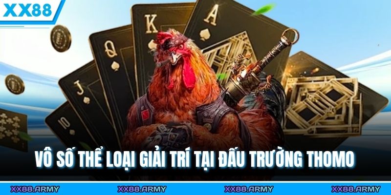 Đá Gà Thomo - Trường Đấu Huyền Thoại Đa Dạng Hình Thức 3 Vô số thể loại giải trí tại đấu trường Thomo